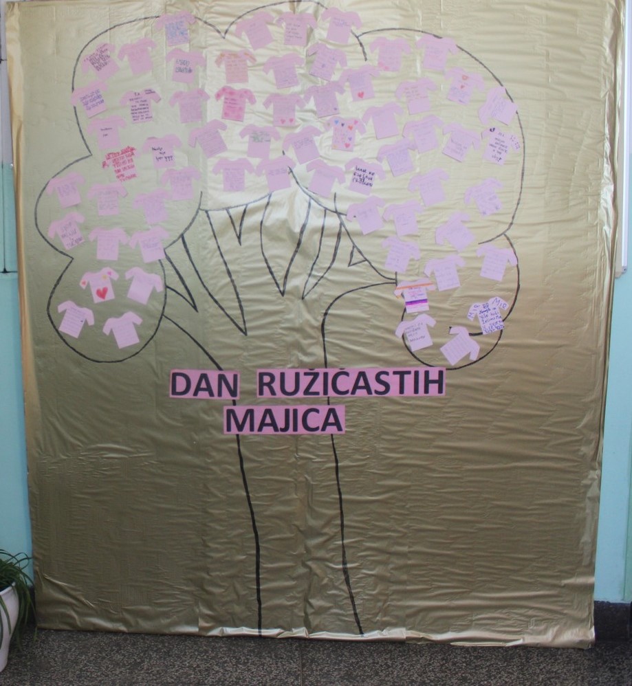 Dan ruiastih majica 2019. Pribislavec